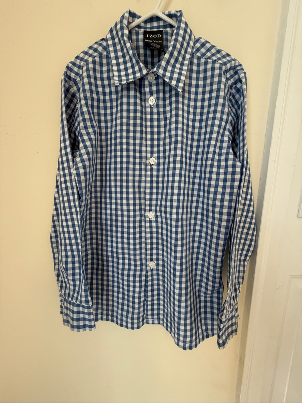 Izod Blue & White Gingham Button-Down Shirt